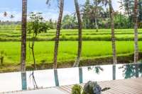 Brand New and Modern Villa for Sale in Ubud