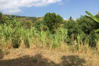 Land Plot In The Hills Of Lovina For Sale
