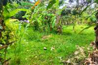 Prime Land in Kaliasem for Sale
