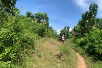 Land for sale in Dencarik Hill, Lovina