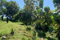 Sloping Land with Ocean & Jungle Views