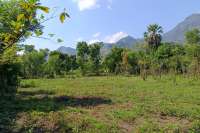 Freehold Land for sale in Pemuteran