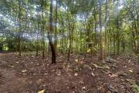Simple & Affordable Land for Sale