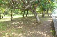 Prime Land for Sale - Development