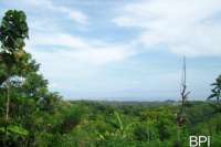 Hillside Land For Sale In North Bali