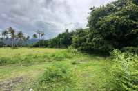 Large Plot of Land for Sale 1.6ha