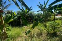 Land Plot in Kayuputih for Sale