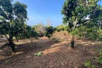 Cempaga Hillside Plot For Sale