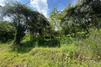 Elevated Big Plot in Kaliasem for Sale
