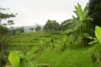 Land For Sale in Bali, Kayuputih