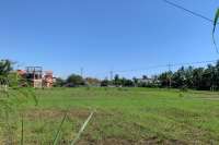 Centrally Located Land in Lovina for Sale