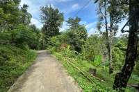 Land For Sale in Panji with Beautiful Sea View