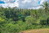 Prime Land for Sale Near Ubud
