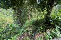Land For Sale in Panji with Beautiful Sea View