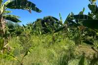 Land Plot in Kayuputih for Sale