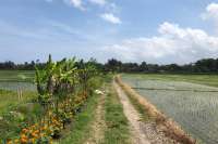 Land Plot With Stunning Views Tabanan Area
