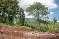 Land Plot Features Ocean View