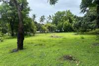 Prime Land for Sale - Development