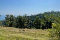 Cempaga Land with Ocean View
