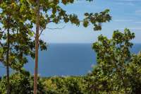 Land For Sale In Pacung