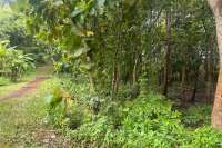Simple & Affordable Land for Sale