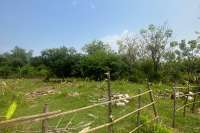 Dencarik Plot Close to The Beach