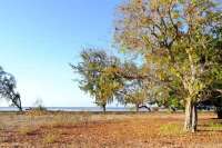 Beachfront Plots for Sale in Mondu