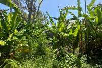 Nice Flat Land plot for Sale