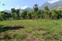 Freehold Land for sale in Pemuteran