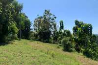 Sloping Land with Ocean & Jungle Views