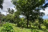 Land Hillside Kayuputih for Sale