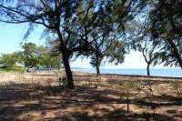 Beachfront Plots for Sale in Mondu