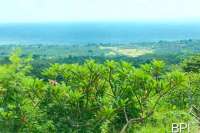 Hillside Land In North Bali for Sale
