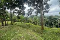 Tegallalang Land for Sale with Good View
