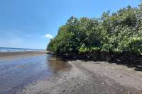 Bali Beachfront Land for sale