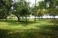 Prime Land for Sale - Development