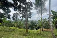 Tegallalang Land for Sale with Good View