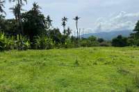 High Potential Commercial Plot for Sale