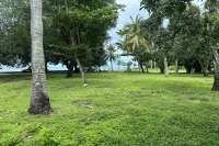 Prime Land for Sale - Development