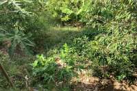 Land for sale 1550 m2 with Ocean view