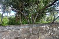 Rare Beachfront Land Close to Lovina