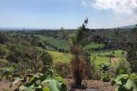 Hillside Land For Sale, North Bali