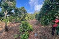 Cempaga Hillside Plot For Sale