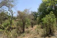 Hillside Plot with Ocean View