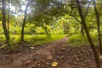 Simple & Affordable Land for Sale