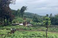 Panoramic Land for Sale in Kayuputih