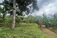 Tegallalang Land for Sale with Good View