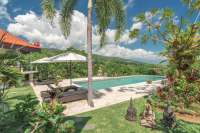 Spacious Hillside Villa, Ocean Views
