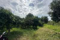 Cempaga Hillside Plot For Sale