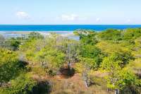 Huge Beachfront Land in Hamba Praing Sumba